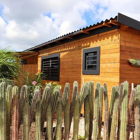Woodz Bonaire Apartman Playa Kültér fotó