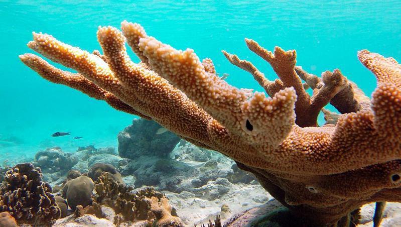 Woodz Bonaire Apartman Playa Kültér fotó