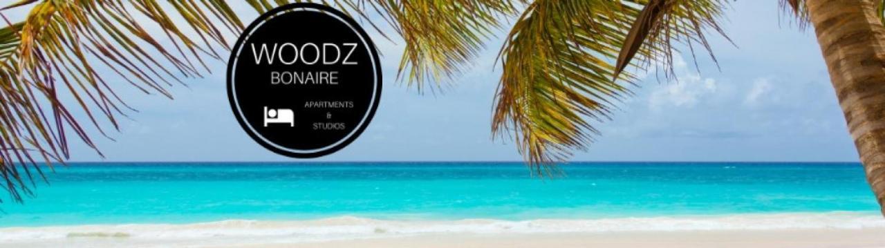 Woodz Bonaire Apartman Playa Kültér fotó